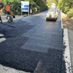 tarmac road in trees